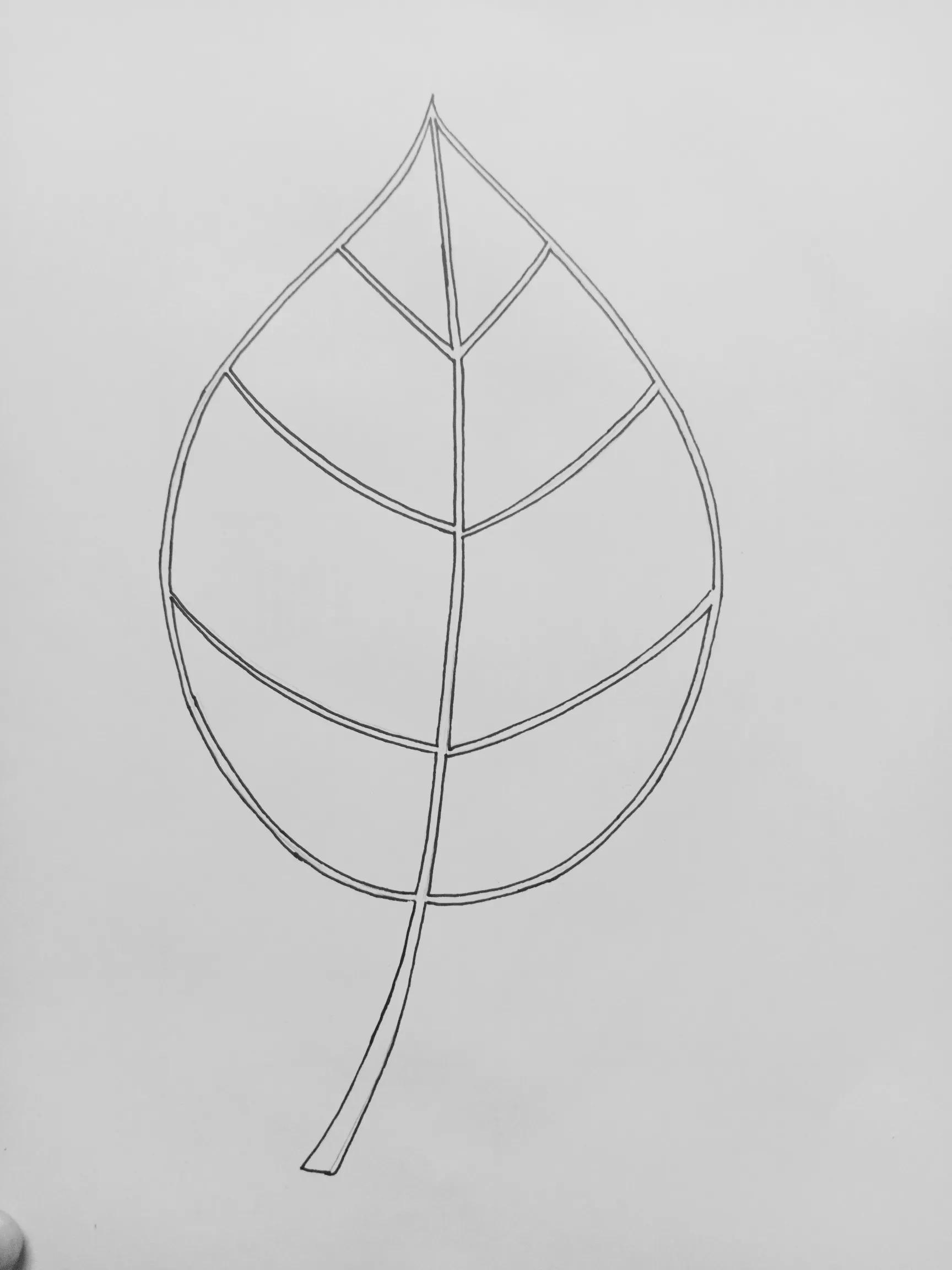 树叶线描画素材图案,树叶线描画黑白创意