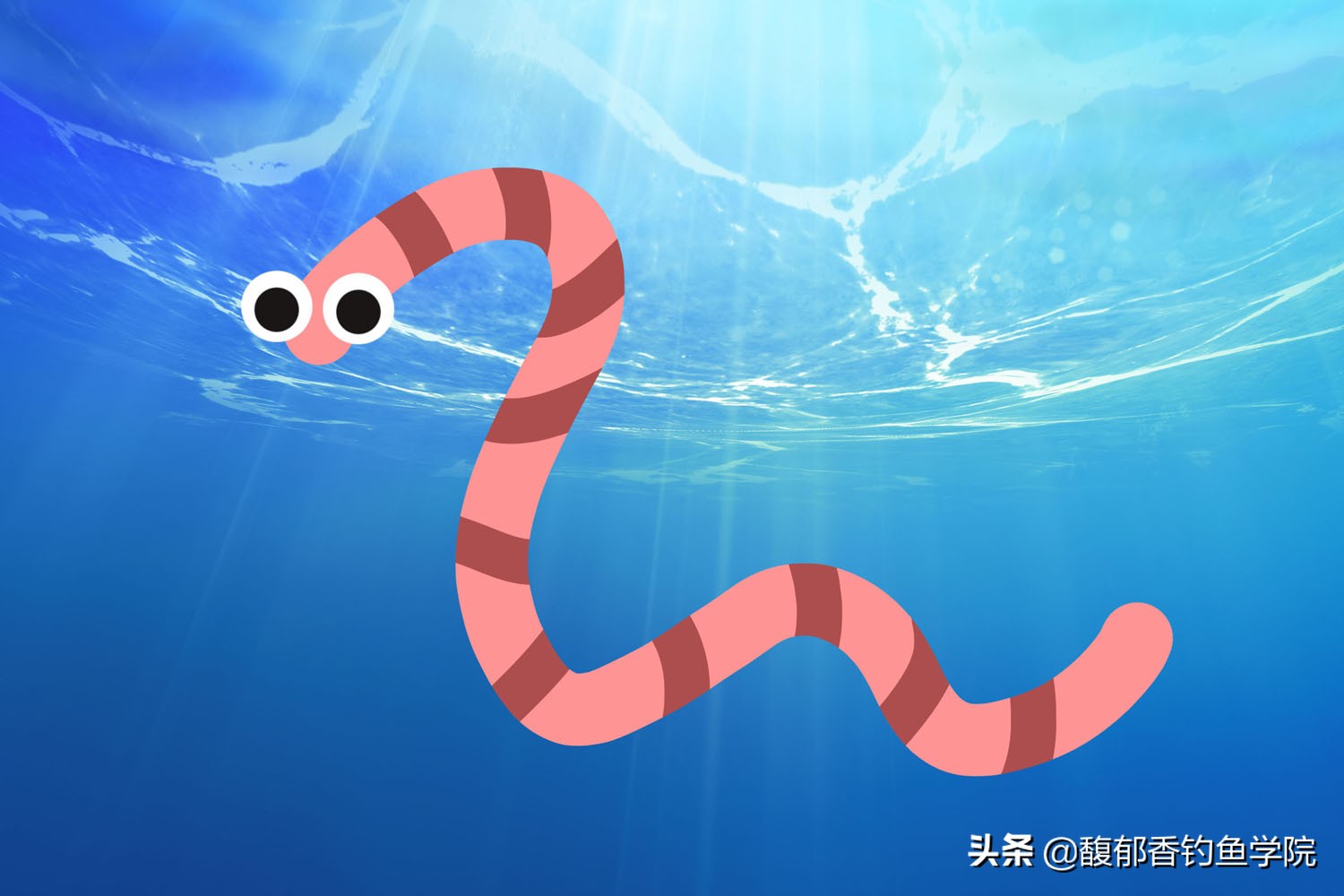 冬季红虫钓鱼红虫可以泡药酒里吗,用红虫钓鱼要粘红虫粉吗