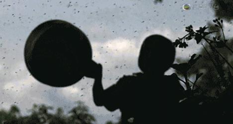 去公园可怕的虫子,去公园如何避免蚊虫叮咬