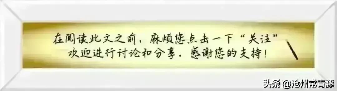 端午节的由来和节日活动的资料,端午节的节日由来简短