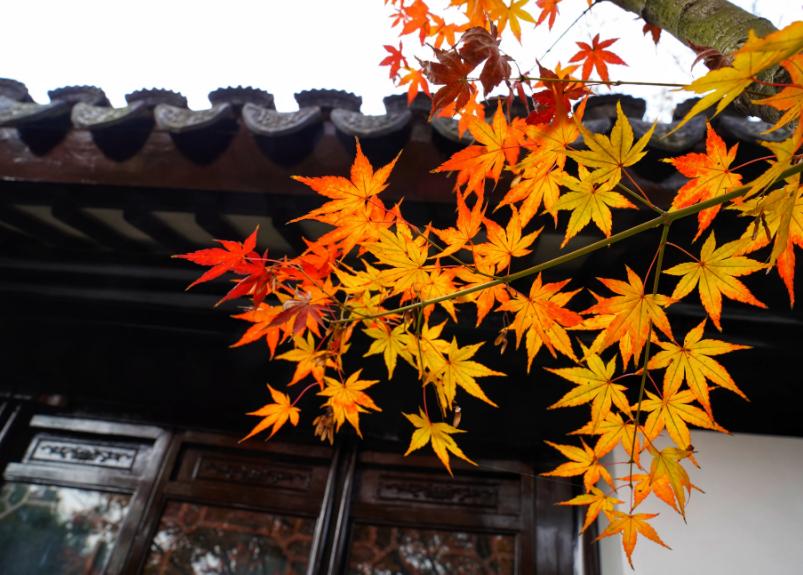 古诗词里的冬日温暖,古诗词里最美的冬天句子