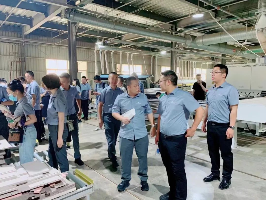 好风景家居抖音,好风景家居转椅