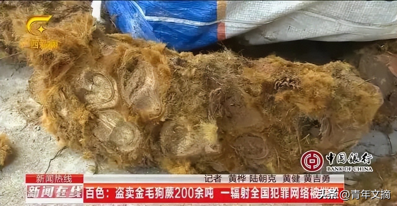 南京摘花被判刑,到底有多少人因为摘花被判刑了