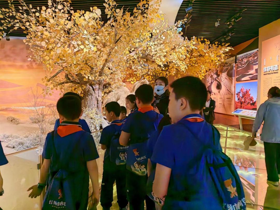 少先队活动课我是小小石榴籽,小小石榴籽少先队活动案例