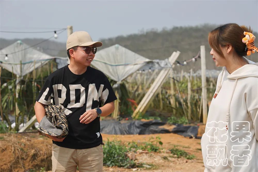 冬季好卖的水果有哪些,比较容易卖的水果有哪些