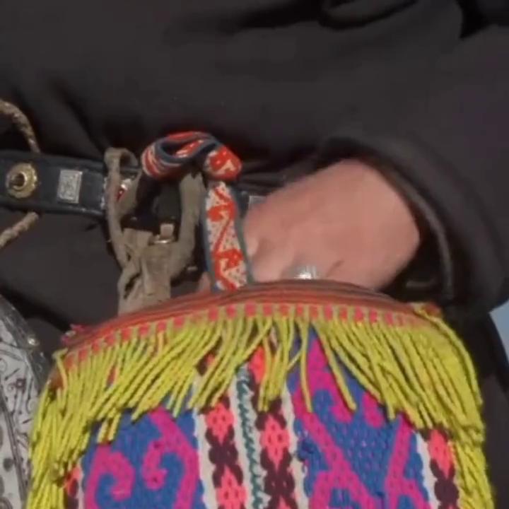 哈萨克斯坦猎鹰视频,猎鹰的历史