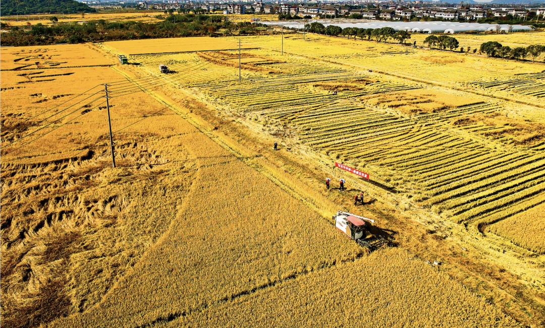 横琴、南沙闪耀大湾区后这家央企终于等来大虹桥“邀请”