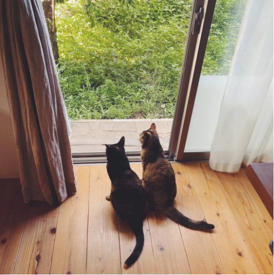 日本50岁以上家庭主妇打扮精致,日本家庭主妇的每日记账方法