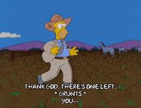 husband也是老公的意思吗,husband是什么意思呢