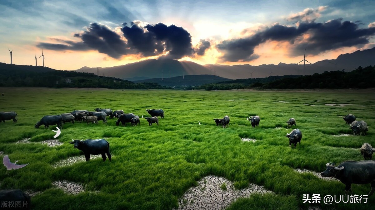 宝藏省份江西,江西宝藏