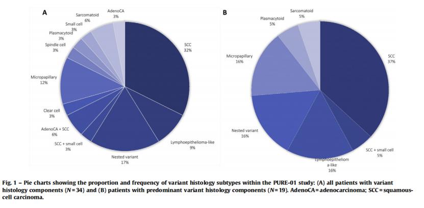 肌层浸润性膀胱癌中药,肌层浸润性膀胱癌化疗方案