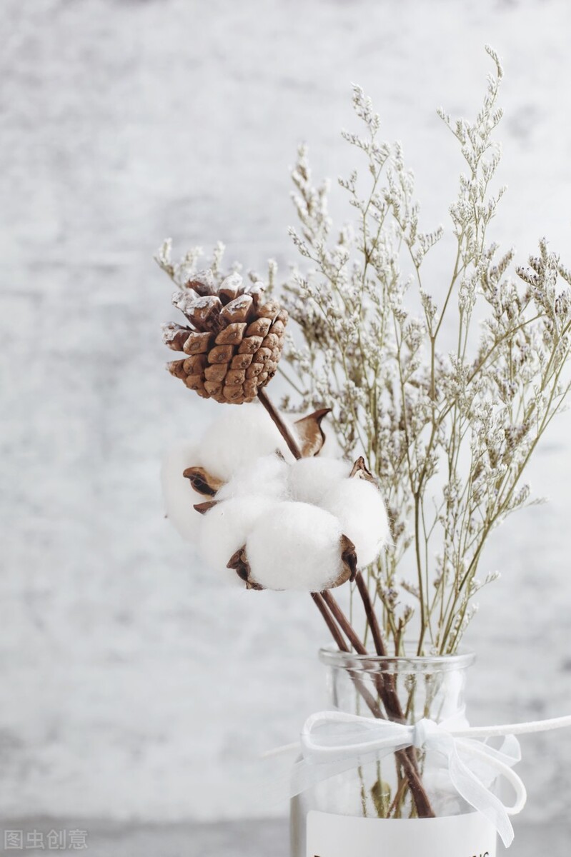 我是人间惆怅客知君何事泪纵横,我是人间惆怅客问君何时泪纵横