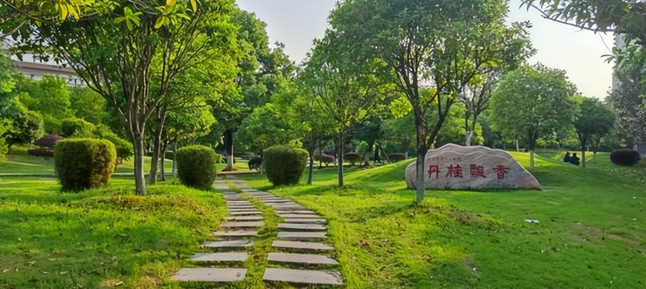 聊聊南华大学：一所撬动科研“杠杆”，激扬人才“活水”的大学