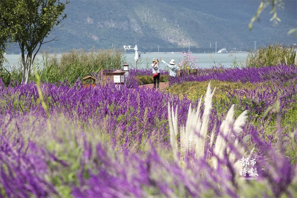 二等座最低264元，昆明⇌成都只需7小时！新成昆铁路12月26日全线贯通运营