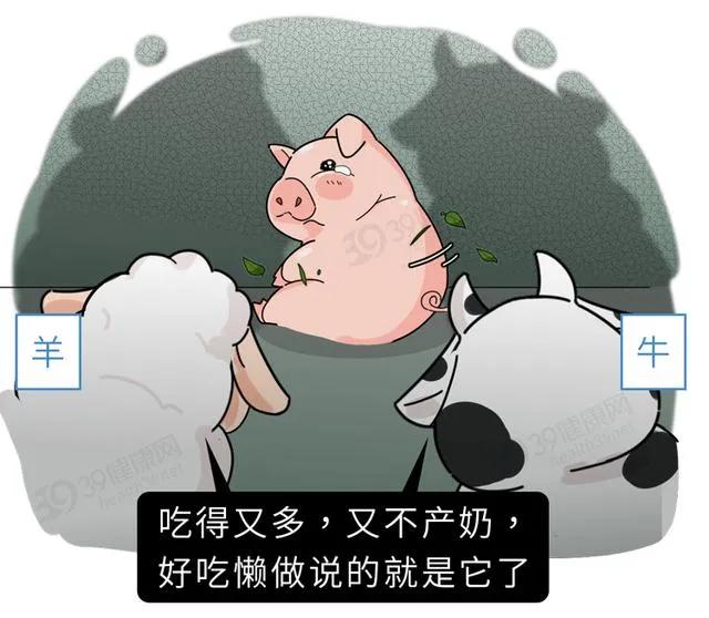 猪奶营养价值极高为什么没人喝,猪奶真的很难喝吗