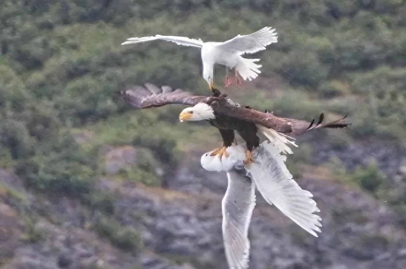 世界最罕见的女人图片高清,最罕见的30张照片女性
