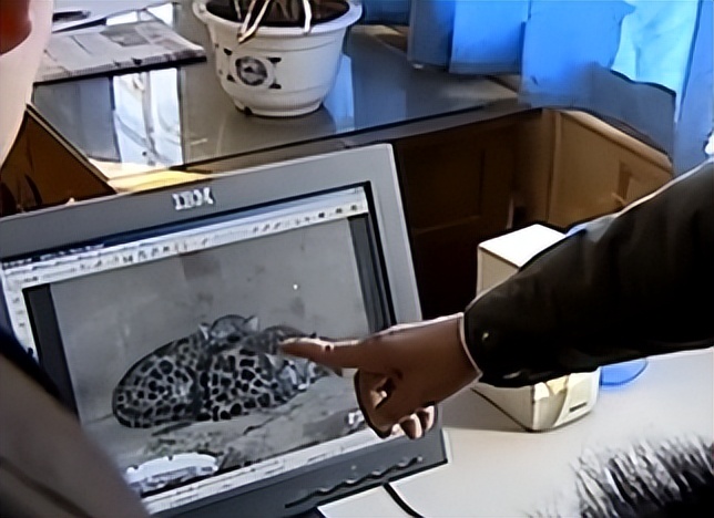 08年新疆牧民捡两只猫崽,中国男子捡到一只奶猫