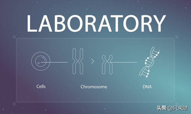 女生学什么专业就业前景好且稳定,未来最有前途的十大专业适合女生
