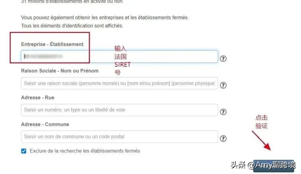 amy聊跨境法国,法国vat税号失效原因及解决办法