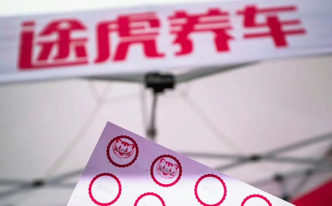 养车虎猫狗,猫狗虎养车哪个前景好