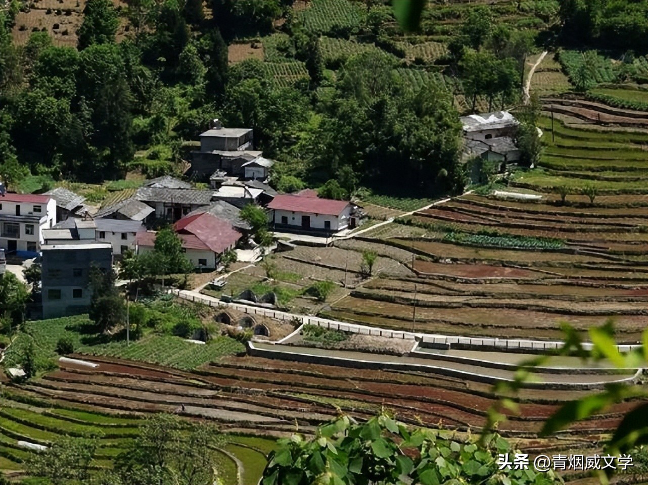 兔年春诗句,兔年迎新春古诗词