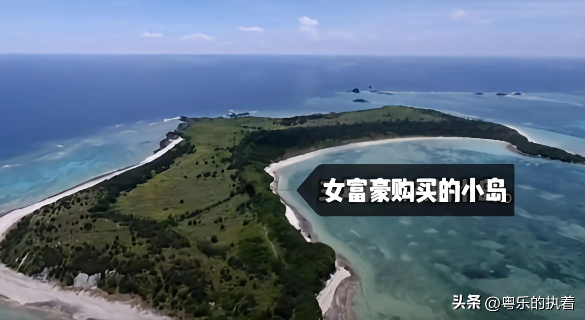 国内女富豪日本买无人岛，网友建议：与东部战区一起开发建设