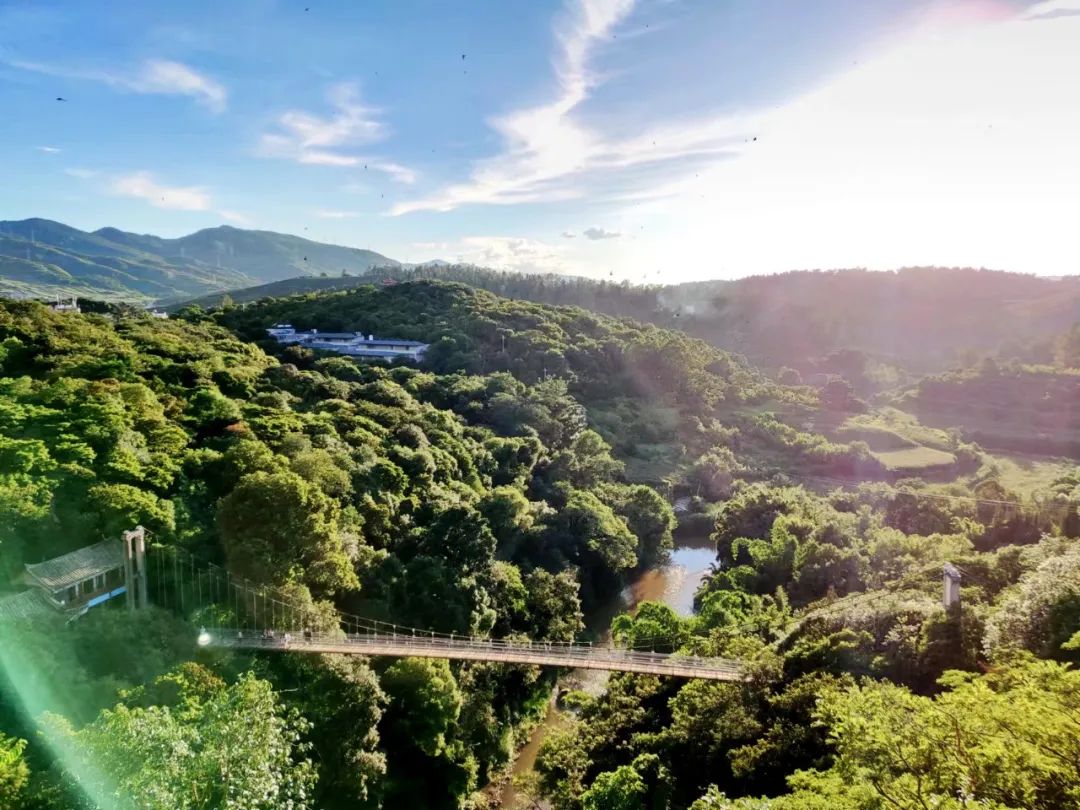建水燕子洞免门票,建水燕子洞景区团购