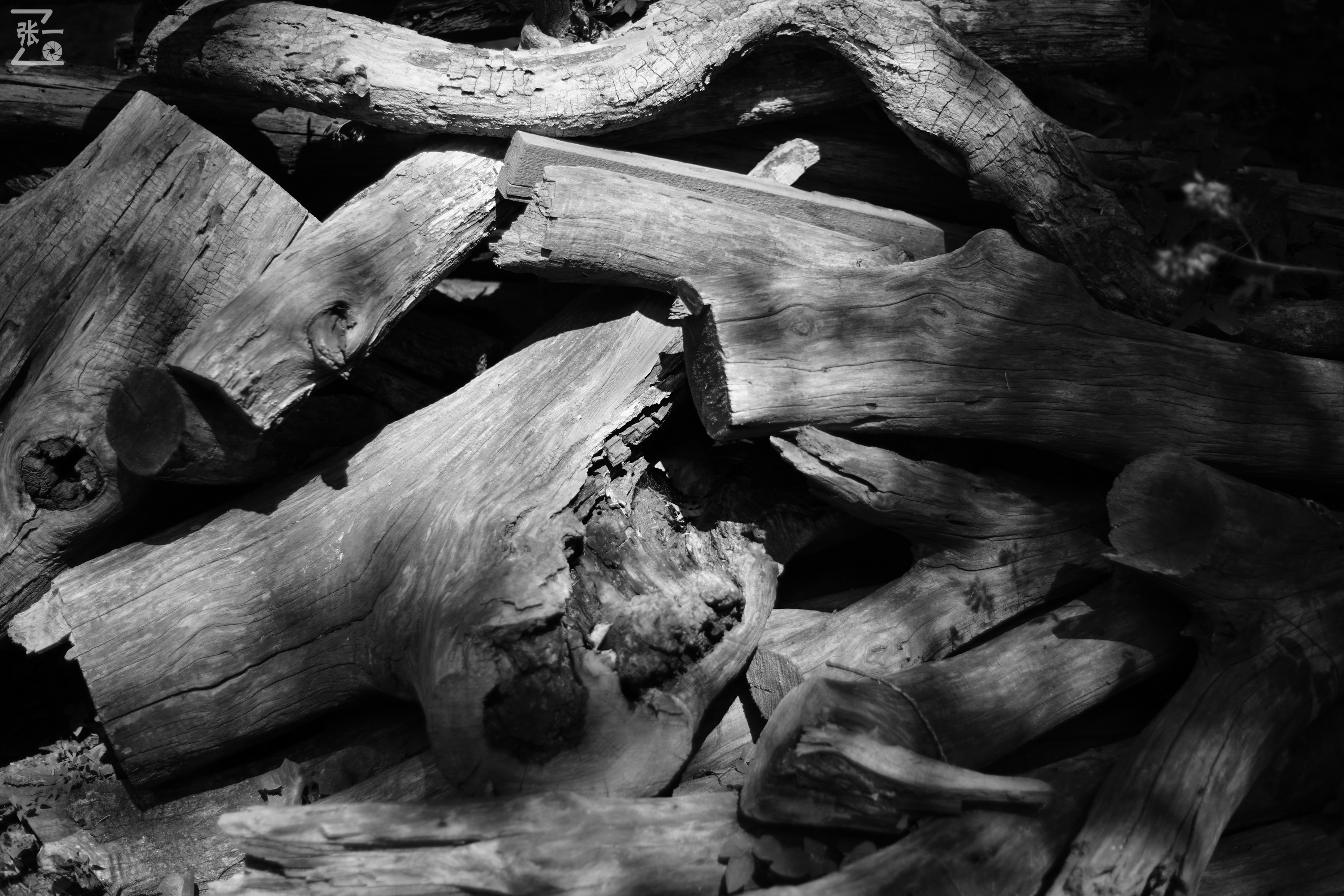 老镜头实拍,老镜头拍北京