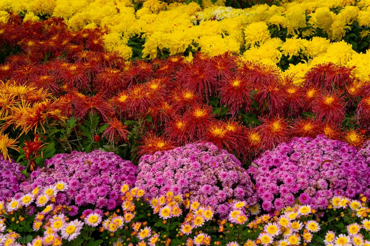 郭进拴走进静升镇,郭进拴原创长篇