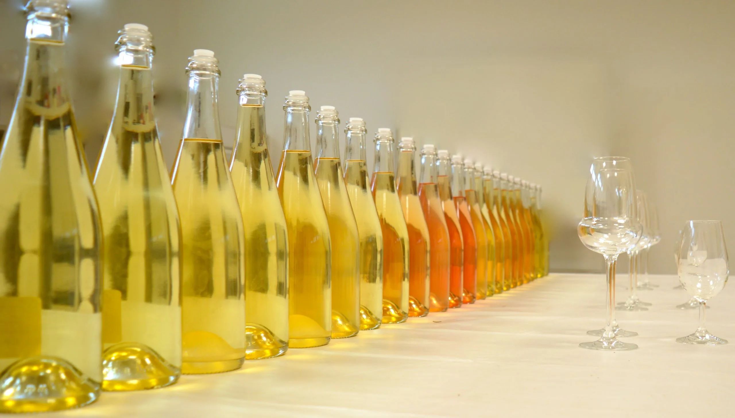 香槟葡萄园旅行,旅游香槟