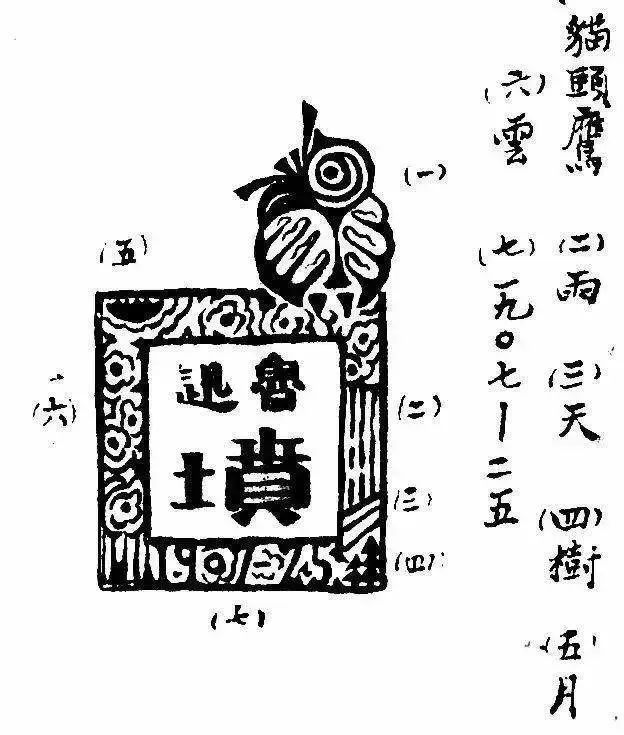 全网人设崩塌的八大网红,这些年人设崩塌的网红