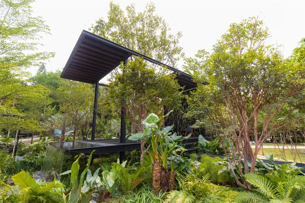 切尔西花展最佳花园,切尔西花展金奖设计