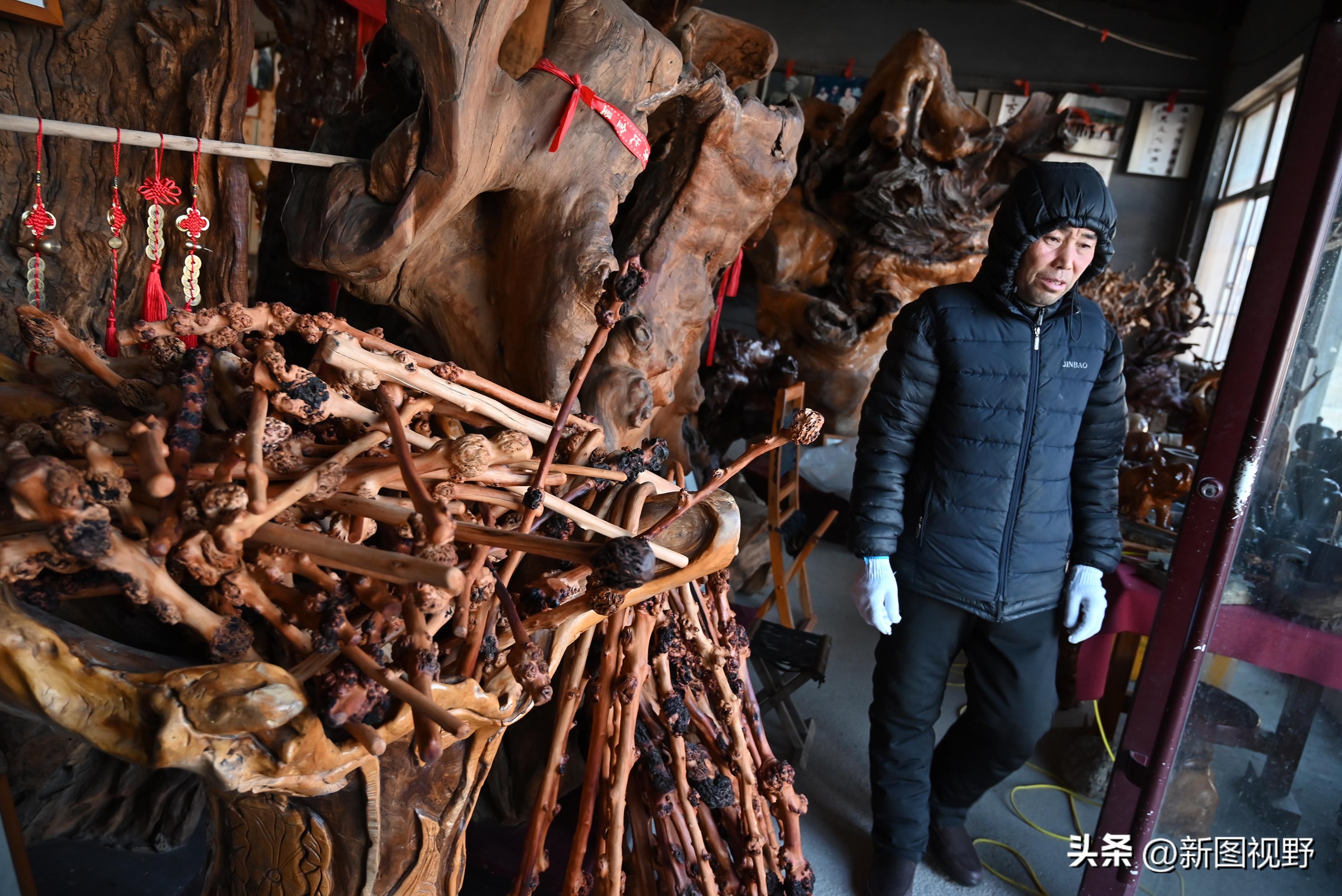 55岁农民，花60万买了一堆古树，每天做着发财梦，睡到自然醒