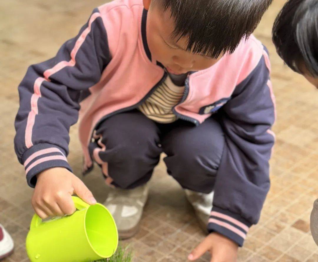 你好，草娃娃！——庆安乐儿堡幼儿园小二班课程故事