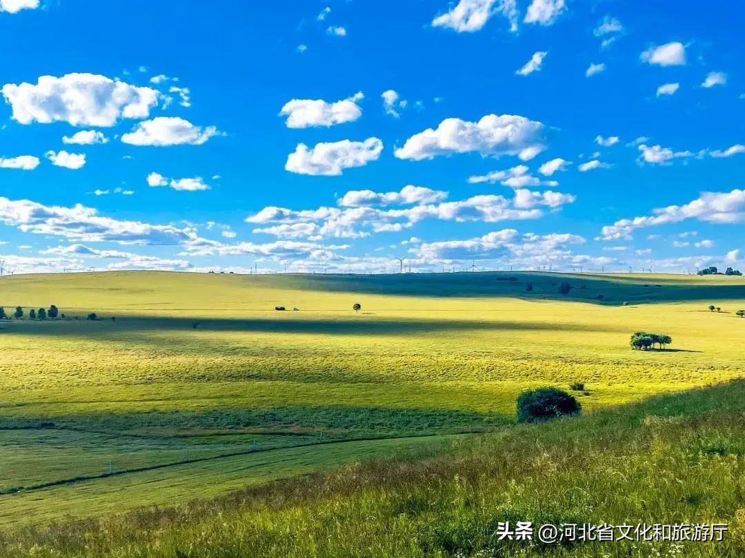 向河北,向着坝上草原出发