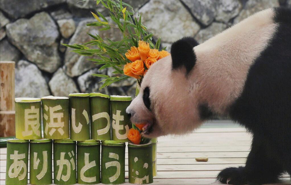 租大熊猫挣钱吗,租熊猫的钱可以造航母吗