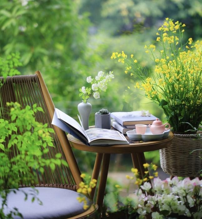 每日精致进补燕窝,时令鲜果燕窝