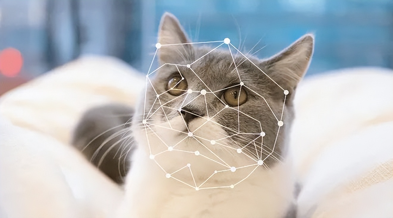 大模型带来行业机遇,大模型商机