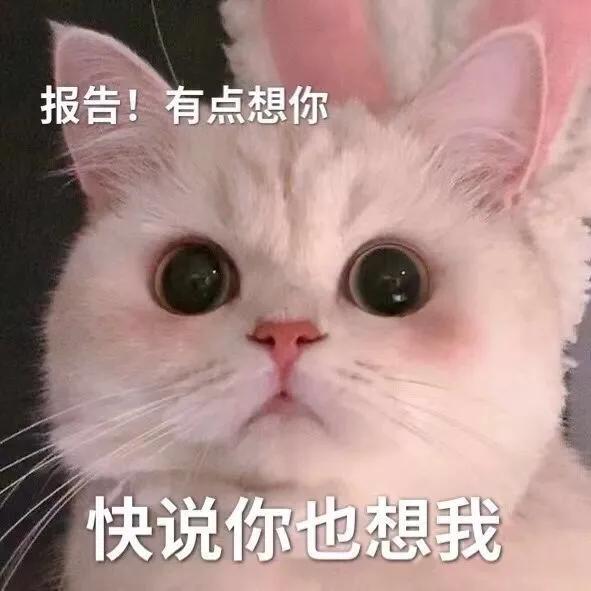 表情包爱心发射怎么接,握拳爱心发射手势表情包