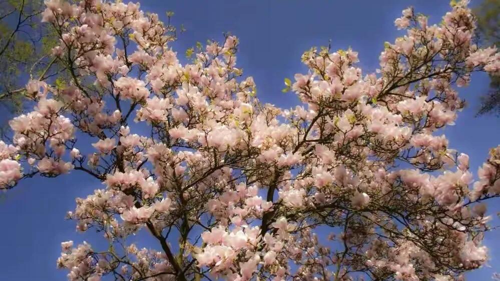 英文激励人生经典句子,激励孩子的正能量句子英文