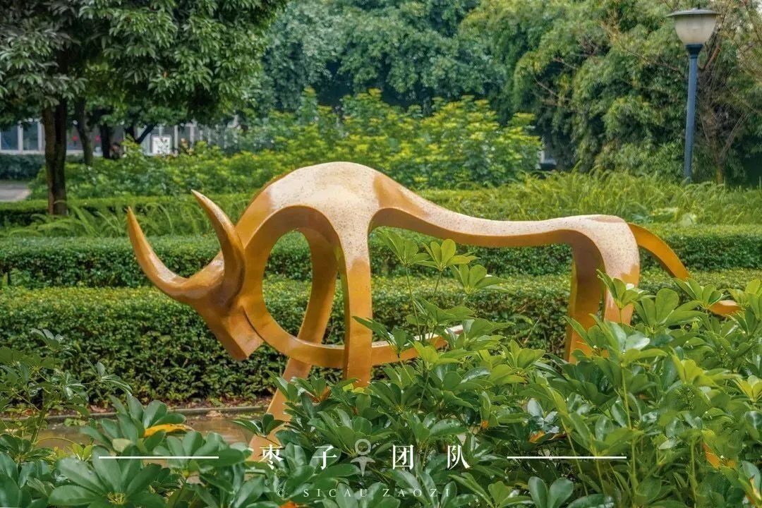 四川各个高校占地面积,四川省占地最大前十的大学