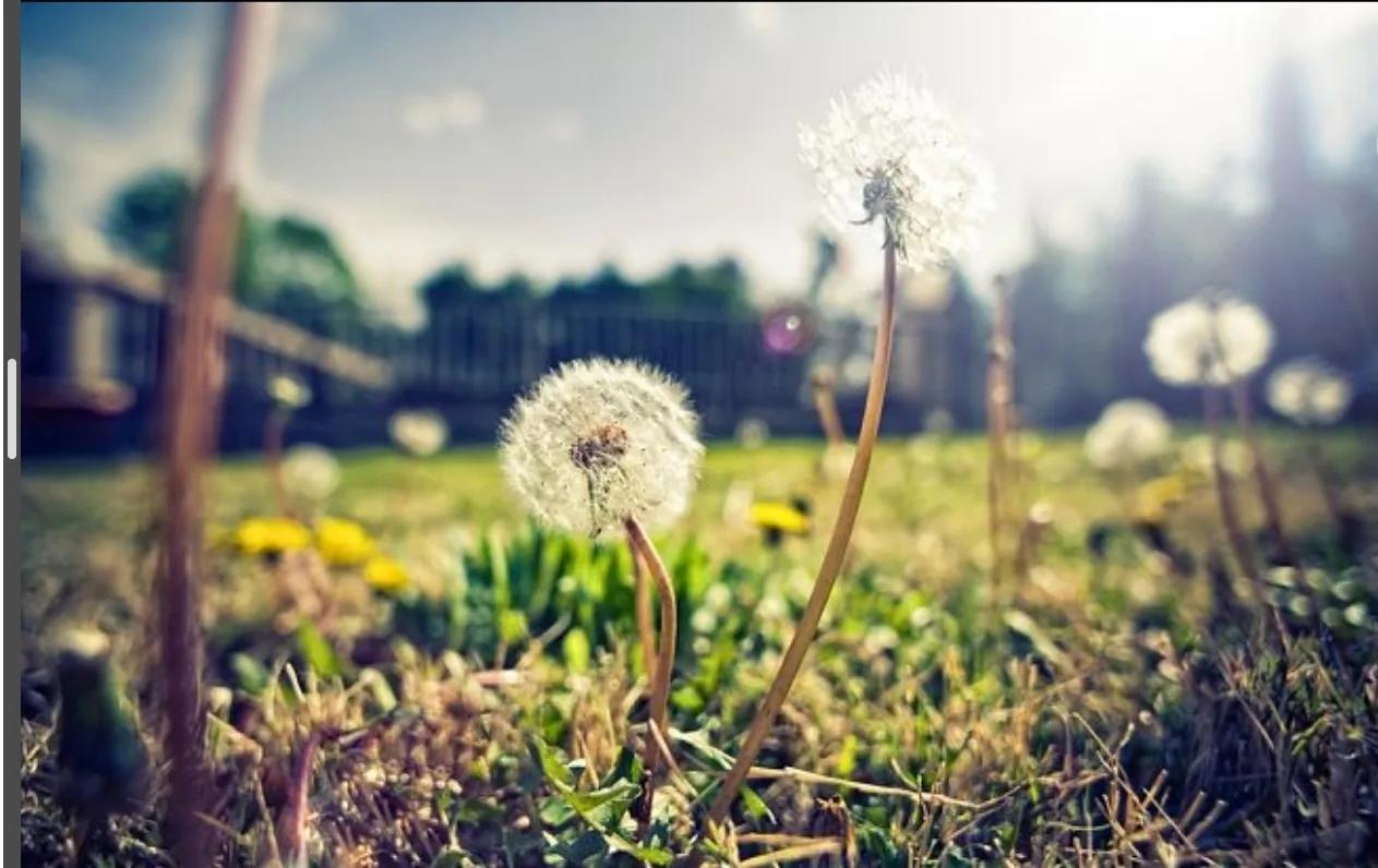 未成年人怎么投稿,未成年可以投稿的公众号