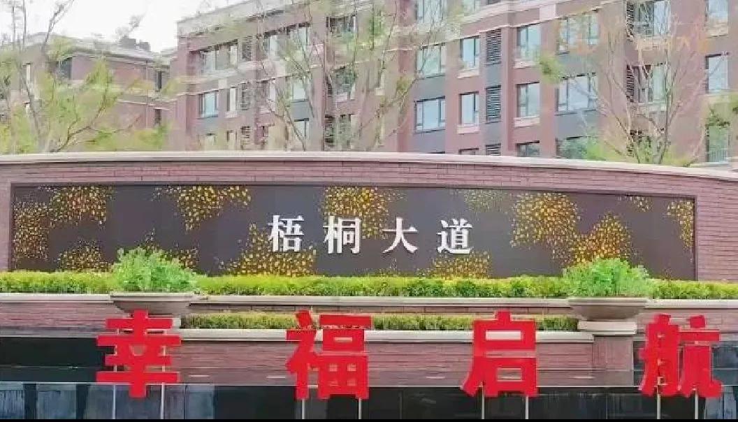 武清南湖现状,天津武清南湖发展情况