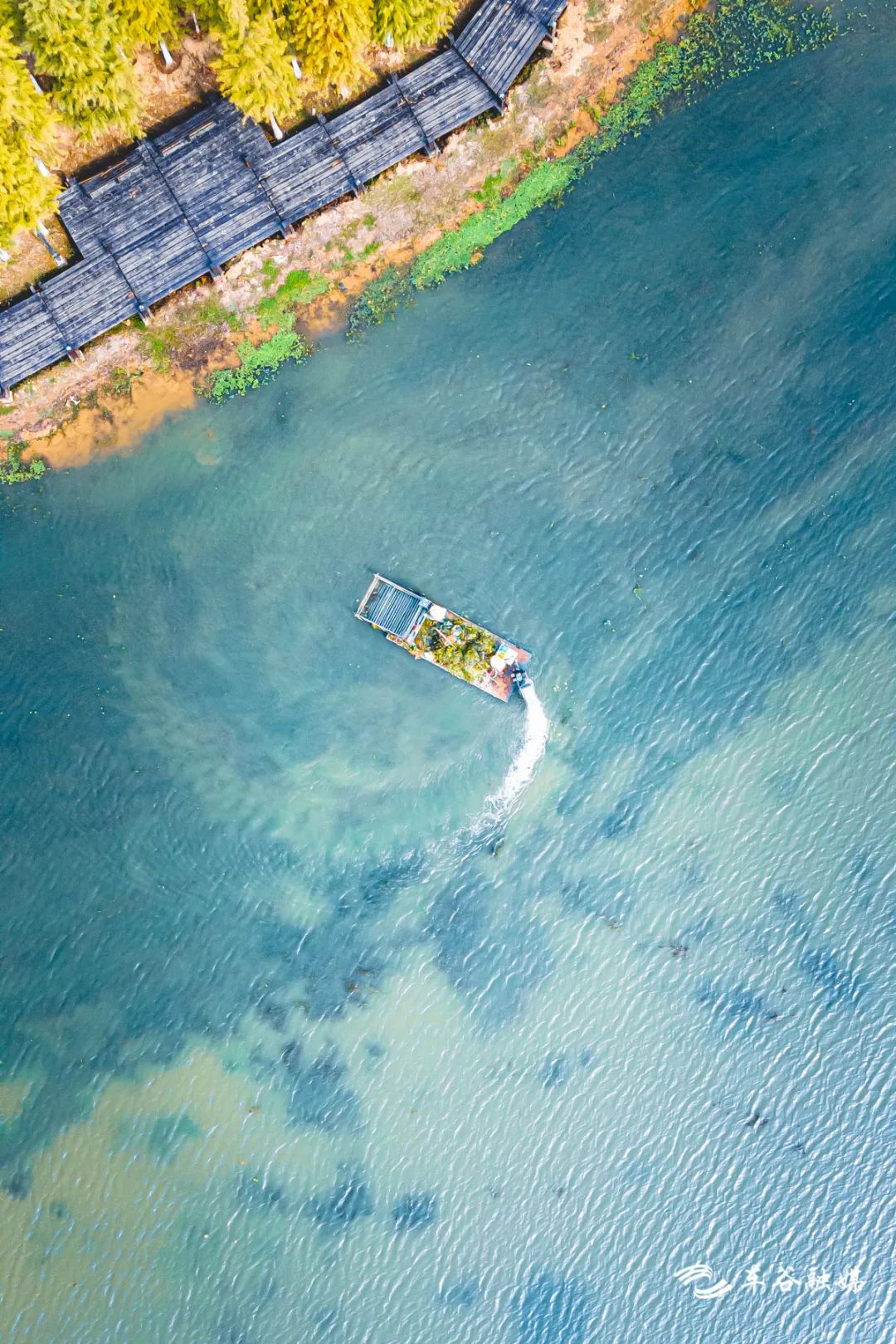 淘金山骑行绿道和东湖骑行绿道,周末绿道骑行一路都是美景