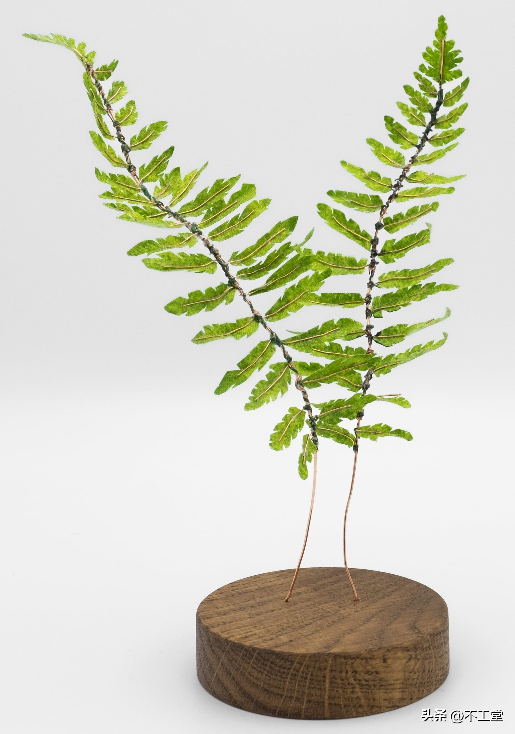 手工压花康乃馨植物标本,中学生手工植物标本