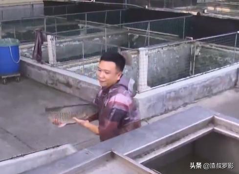 银行副行长辞职赚钱,中国银行副行长辞职