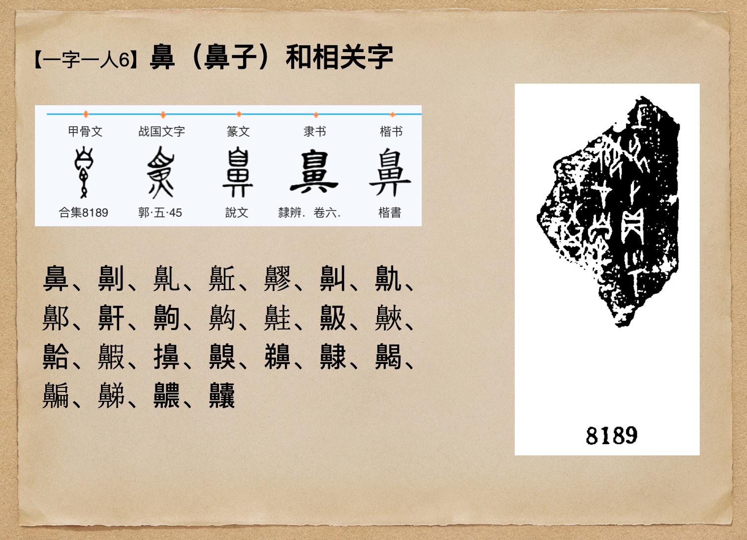 「一字一人6」鼻（鼻子）和相关字