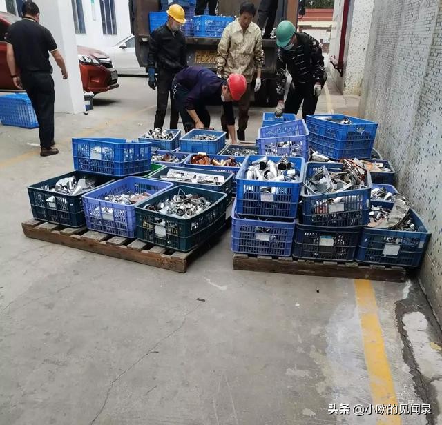 找工作千万别找中介，不少人表示一次后悔，看看都有哪些套路