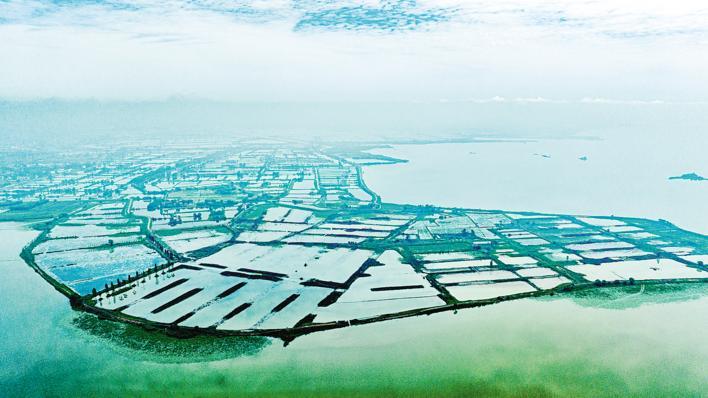 荆州端午赛龙舟,湖北荆州龙舟赛直播今年