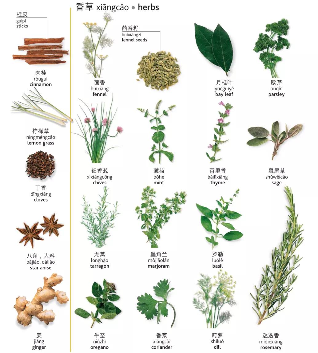 茶类饮料有哪些英语翻译,什么饮料最健康的英文翻译